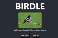 Birdle Game