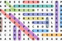 Word Search Puzzle Game